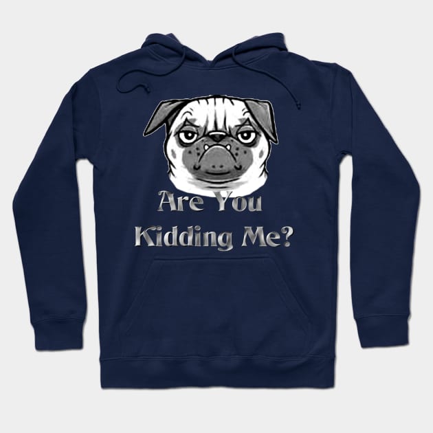 Are You Kidding Me Hoodie by djmrice